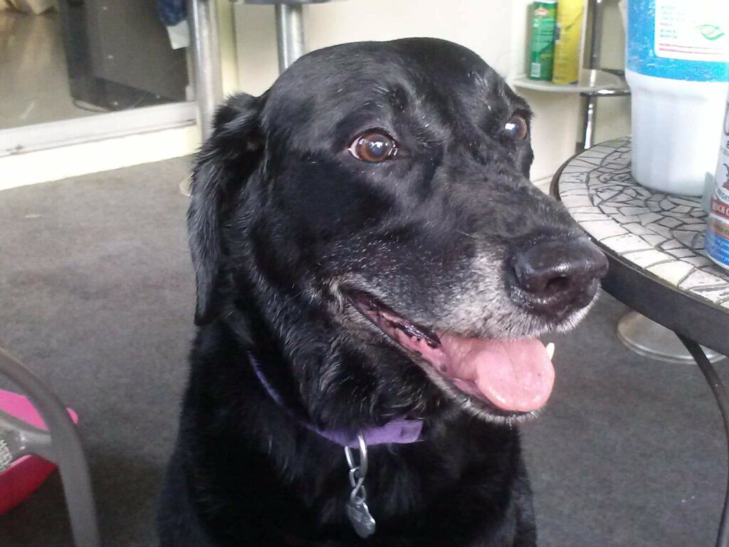 Forever In our Hearts - Breeze