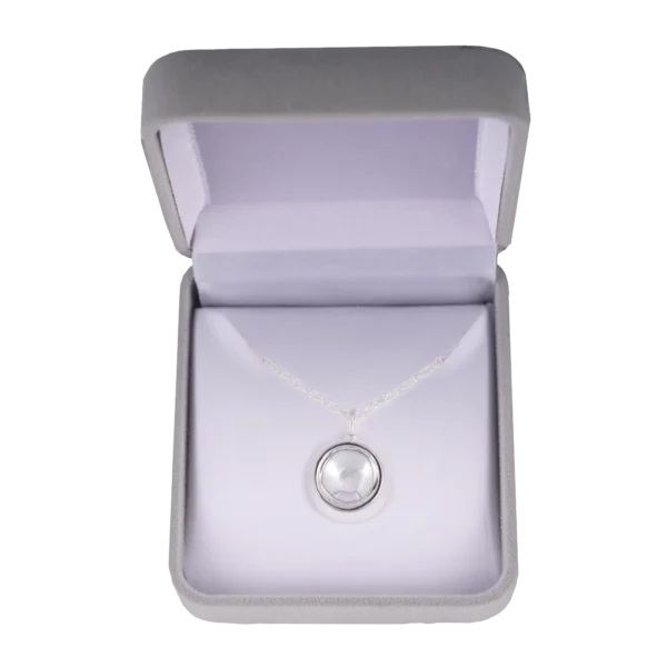 Dish [Silver]