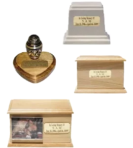 Standard Urns with Options