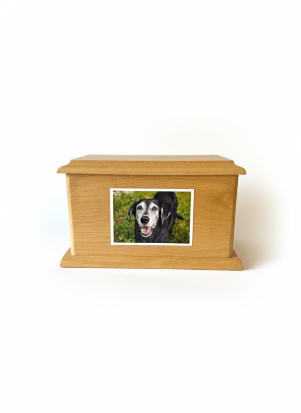 Alder with Acrylic Frame Urn [Wood]