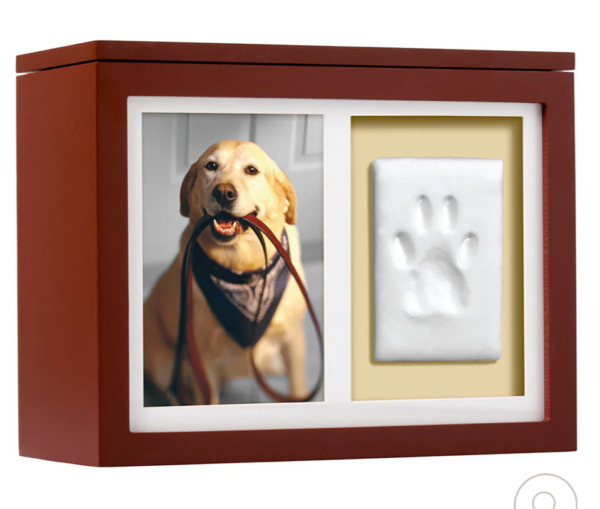 Pet Dual Side Frame (Photo/Print) [Espresso] Memory Box